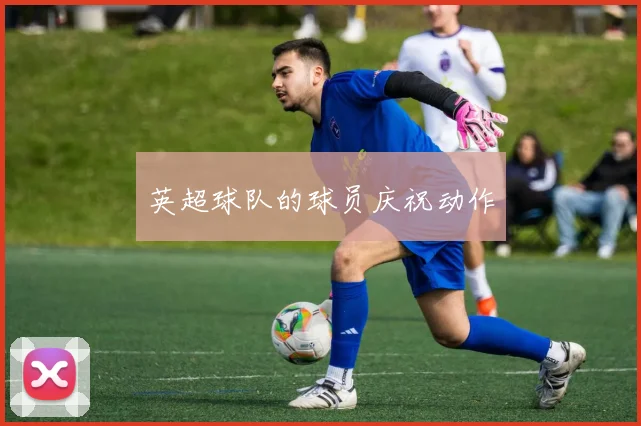 英超球队的球员庆祝动作